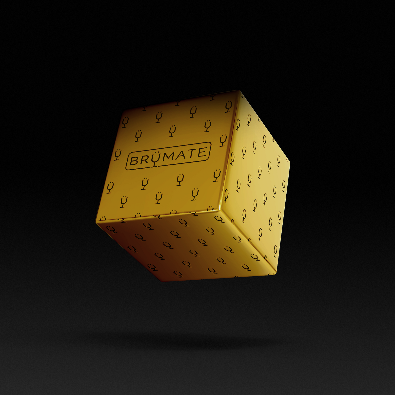Premium Mystery Item ($39-70 Value) P9